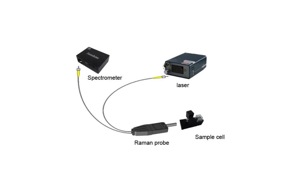 Combined Raman Spectrometer